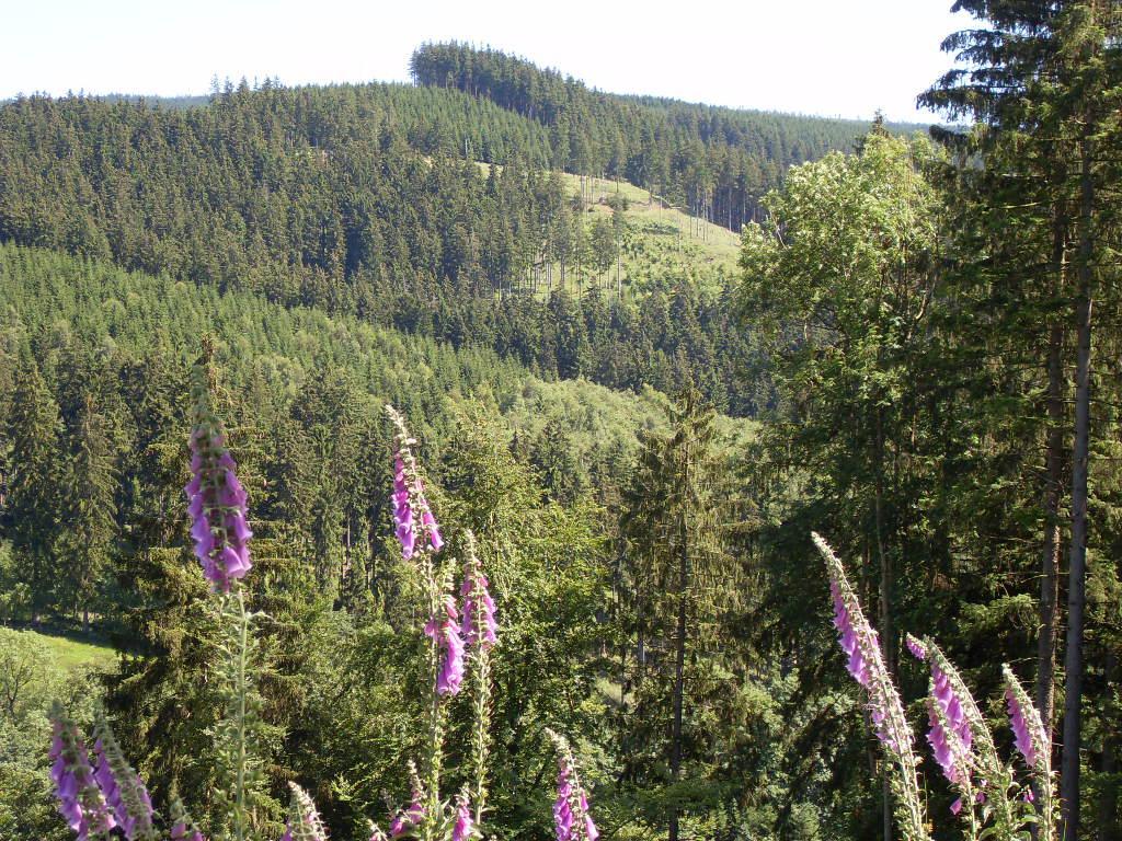Bündge