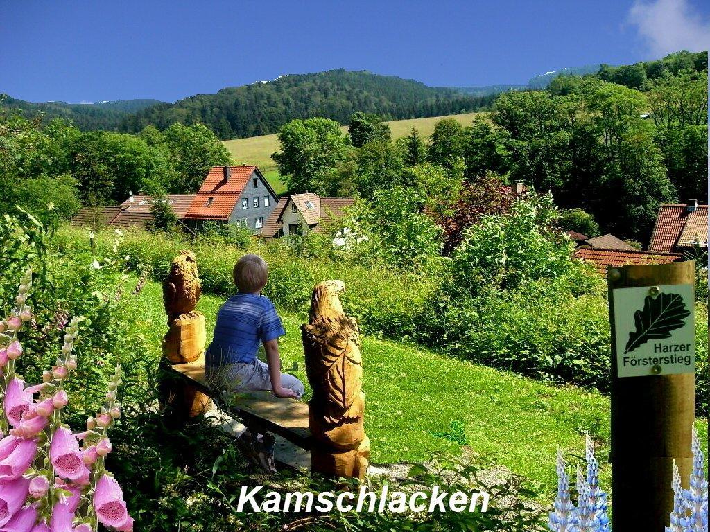 Апартаменты Gaestehaus Buendge Kamschlacken